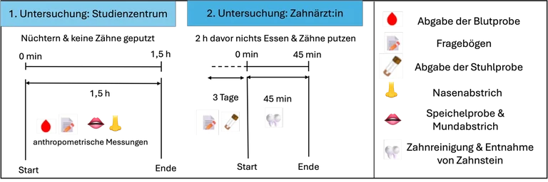 Studienablauf