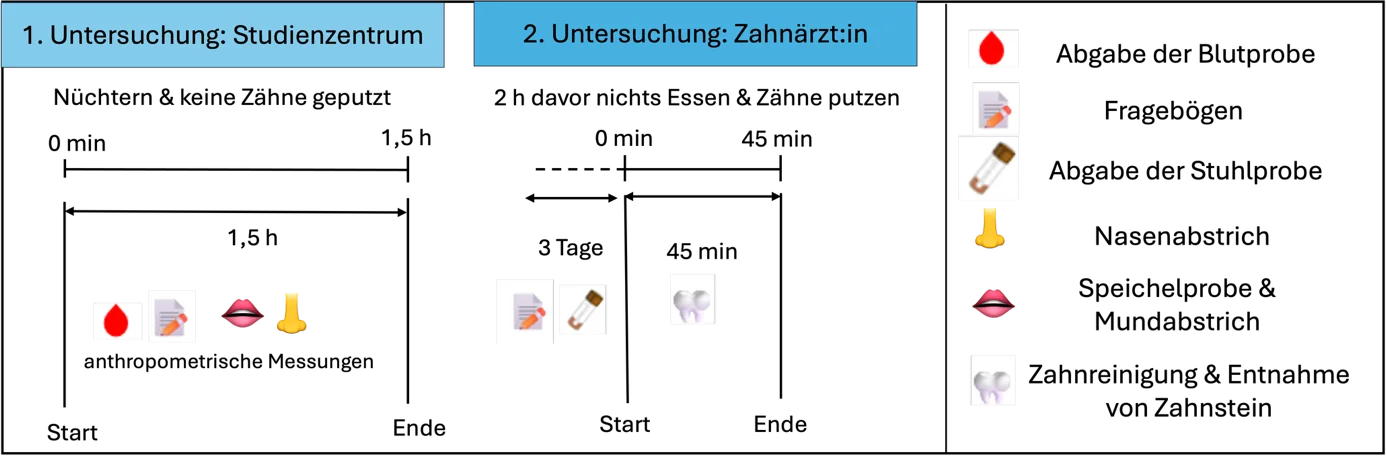 Studienablauf